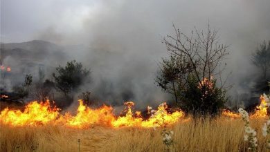 سنتی که خاک را عقیم می‌کند