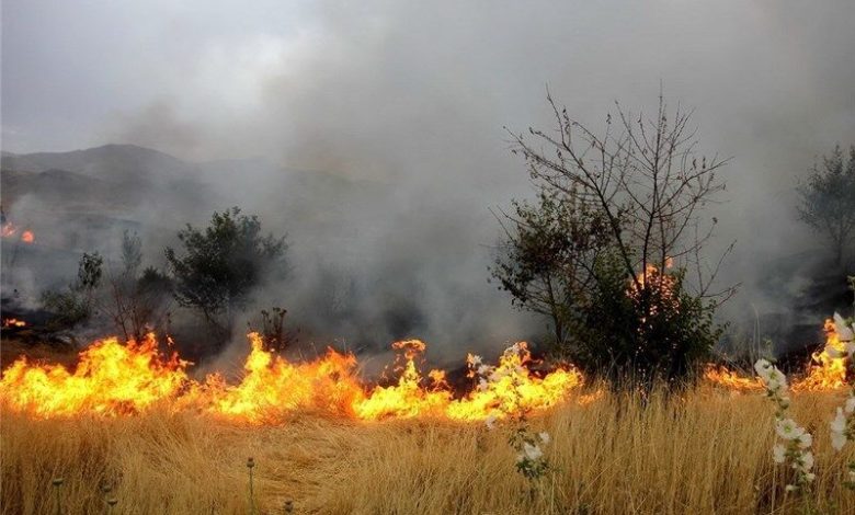سنتی که خاک را عقیم می‌کند