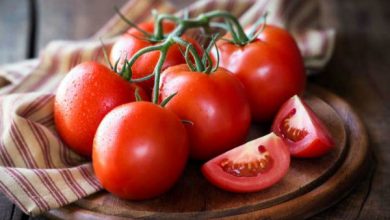 صادرات 210 هزار تنی گوجه ‌فرنگی در 2 ماه
