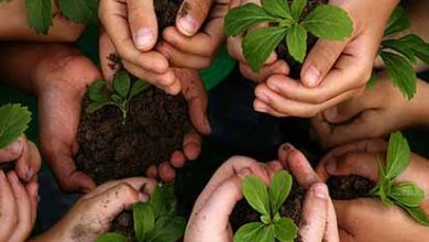 صندوق خرد زنان روستایی حلال مشکلات اشتغالزایی در سال جهش تولید