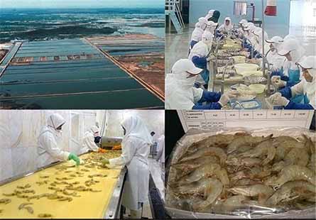 طرح های شیلاتی اشتغال در آذربایجان‌ شرقی