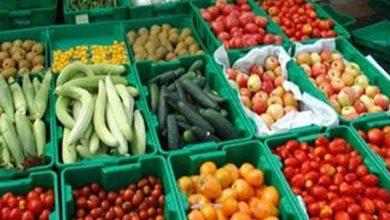 عرضه مستقیم محصولات کشاورزی در دستور کار تعاون روستایی قرار دارد