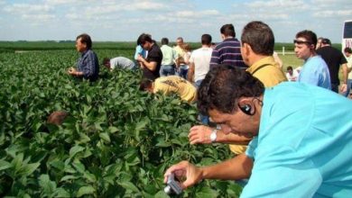مجوز «گردشگر کشاورزی» صادر می‌شود