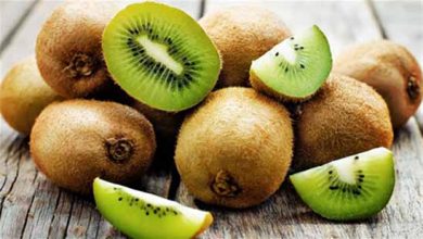 ممنوعیت صادرات زودهنگام کیوی