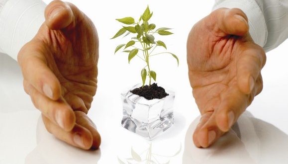 پایداری کشاورزی در گرو توسعه زنجیره‌های عرضه