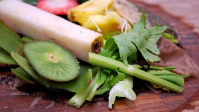 ضایعات سالانه ۲۰ میلیون تن محصول کشاورزی در کشور