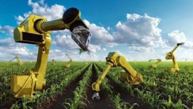 یادداشت اقتصادی سطح توقعات از کشاورزی برای اشتغالزایی را بالا نبریم