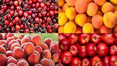 آخرین وضعیت قیمت میوه‌های تابستانه نرخ نوبرانه‌ها کاهش یافت