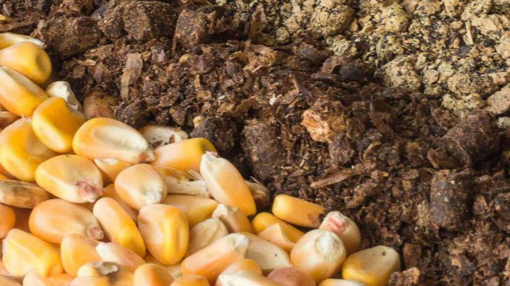 آسیب پذیری بالای کشور در تامین نهاده‌های کشاورزی ضریب خودکفایی کالاهای اساسی جدول