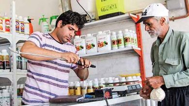 آشفتگی قیمت‌ها در بازار سموم کشاورزی مازندران