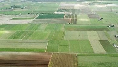 اجرای طرح کاداستر در اراضی کشاورزی با محدودیت اعتبار مواجه است