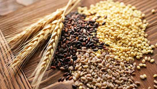 استفاده از آب سبز، ۱.۵ میلیون تن اضافه‌ تولید غلات به دنبال دارد