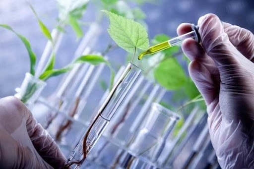 تقویت کلکسیون‌های منابع ژنتیکی زراعی و باغیٍ؛ تکمیل کلکسیون انگور ایستگاه تحقیقات کاشمر با 180 ژنوتیپ