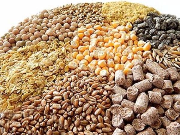 سهمیه خراسان رضوی از نهاده‌های دامی جوابگوی نیاز کارخانجات نیست