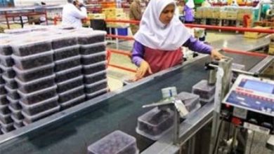 صنایع تبدیلی نیاز اصلی استان ایلام است.