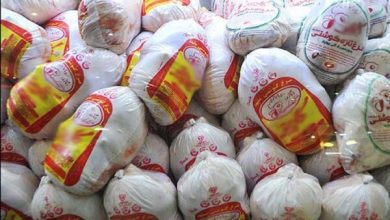 قیمت مصوب مرغ کارشناسی شده نیست نرخ نهاده ها بالاست