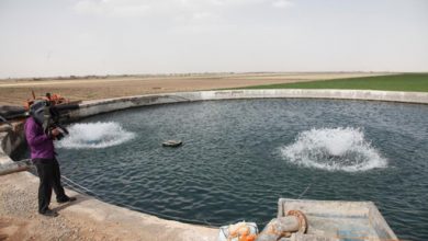 مکانیزاسیون در آبزی‌ پروری راهی برای افزایش بهره‌وری