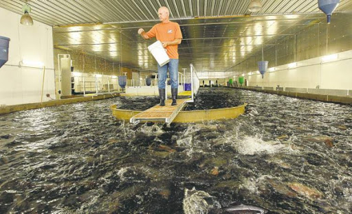 مکانیزاسیون در آبزی‌پروری راهی برای افزایش بهره‌وری
