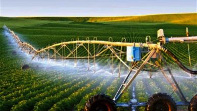 هرمزگان، مقام اول استفاده از سیستم آبیاری نوین در کشور