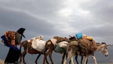 کوچ مکانیزه از ابتلای عشایر به کرونا جلوگیری کرد