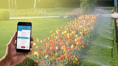 افزایش سطح زیر کشت با کشاورزی از راه دور