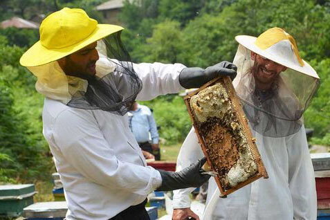 برگزاری آیین شکرگزاری تولیدکنندگان عسل در بزرگ‌ترین کانون روستایی پرورش زنبورعسل کشور