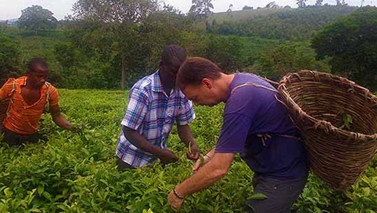 برگزاری نشست مجازی «ظرفیت‌های گردشگری کشاورزی»