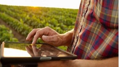 تاب آوری دربخش کشاورزی بدون توسعه فناوری امکان‌پذیر نیست