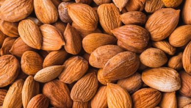 تولید بالغ بر 6 هزار تن بادام از سطح باغات خراسان جنوبی