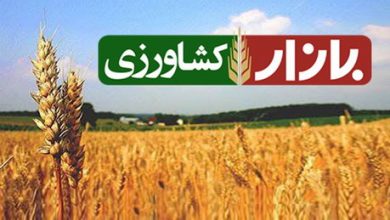 حلقه مفقوده بازار آشفته کشاورزی متولی بازار کیست؟