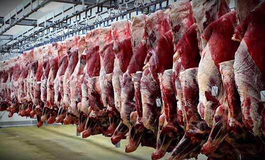 استان اصفهان صادر کننده گوشت قرمز دام سنگین است