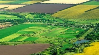 ایجاد شغل شهرک‌های کشاورزی برای ۷۵۸ نفر