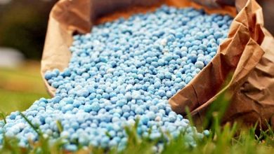 برخی واردکنندگان کود و سموم ۴۲۰۰ تومانی را به ۱۰ برابر قیمت می‌فروشند36363