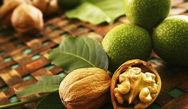 بیش از ۲ هزار تُن گردو از باغات استان ایلام برداشت می‌شود