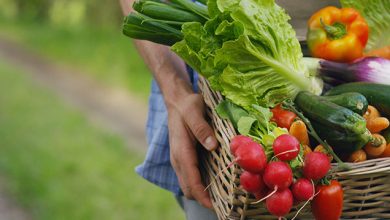 توصيه های هواشناسی کشاورزی از تاريخ 9 مهر لغايت 13 مهر 99