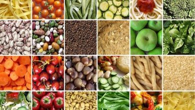 خوزستان ظرفیت تولید محصولات کشاورزی و صنعتی مورد نیاز ترکیه را دارد