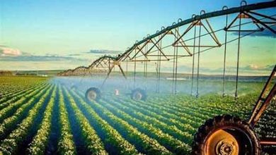 خیز دوباره دولت برای الحاق ایران به یک کنوانسیون پرحاشیه کشاورزی
