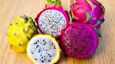 موج‌سواری میوه‌های وارداتی با دلار