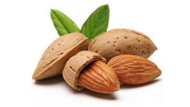 بام ایران مرکز تولید بادام کشور