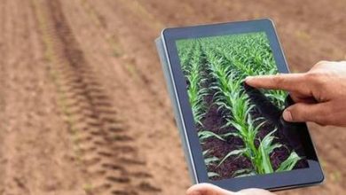 توصيه های هواشناسی کشاورزی از تاريخ 23 مهر لغايت 27 مهر 99