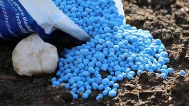 تولید ۶۰۰ هزار تن کود فسفاته در داخل کشور کلید خورد