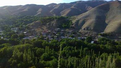 روستای برغان ساوجبلاغ