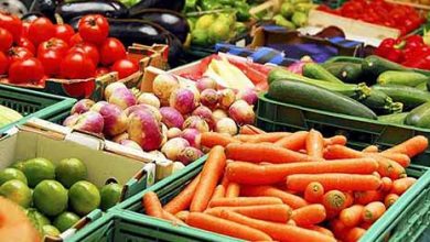 فروش محصولات کشاورزی در گروی توجه به زنجیره تولید و صنعت بسته‌بندی252