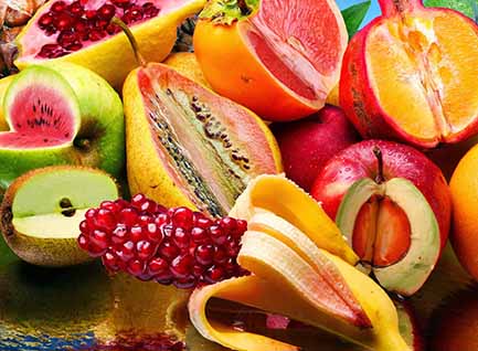 قوانین کشورهای جهان درباره محصولات تراریخته چه می‌گویند؟