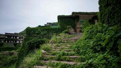 ماجرای روستای متروکه ای که با آبخیزداری دوباره احیاء شد