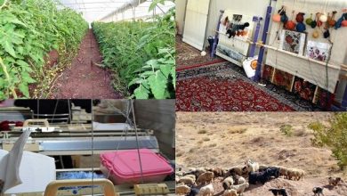گام های مثبتی برای کارآفرینی در روستاهای مازندران برداشته شد