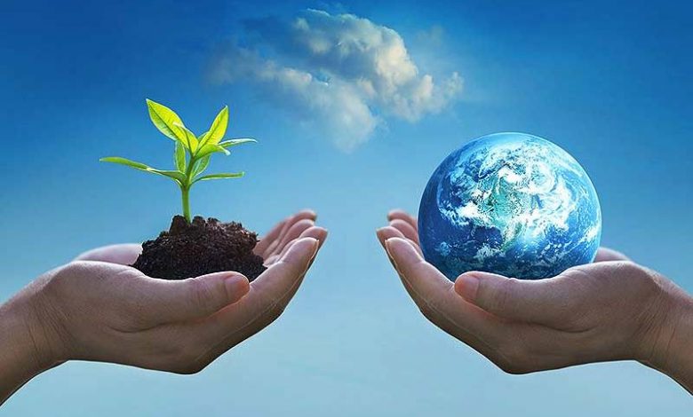 3 راهکار فائو برای داشتن محیط زیست پایدار