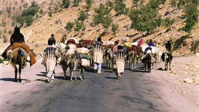 ایل‌ راه‌های عشایر؛ مسیر امنیت غذایی کشور