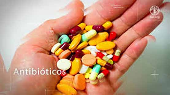 هشدار فائو مقاومت میکروبی امنیت غذایی و معیشت میلیون‌ها خانوار کشاورز را تهدید می‌کند