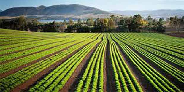 ۱۱۰ دهکده الگویی کشاورزی در مازندران امسال راه‌اندازی شد